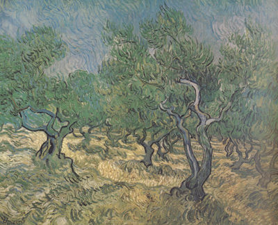 Vincent Van Gogh Olive Grove (nn04)